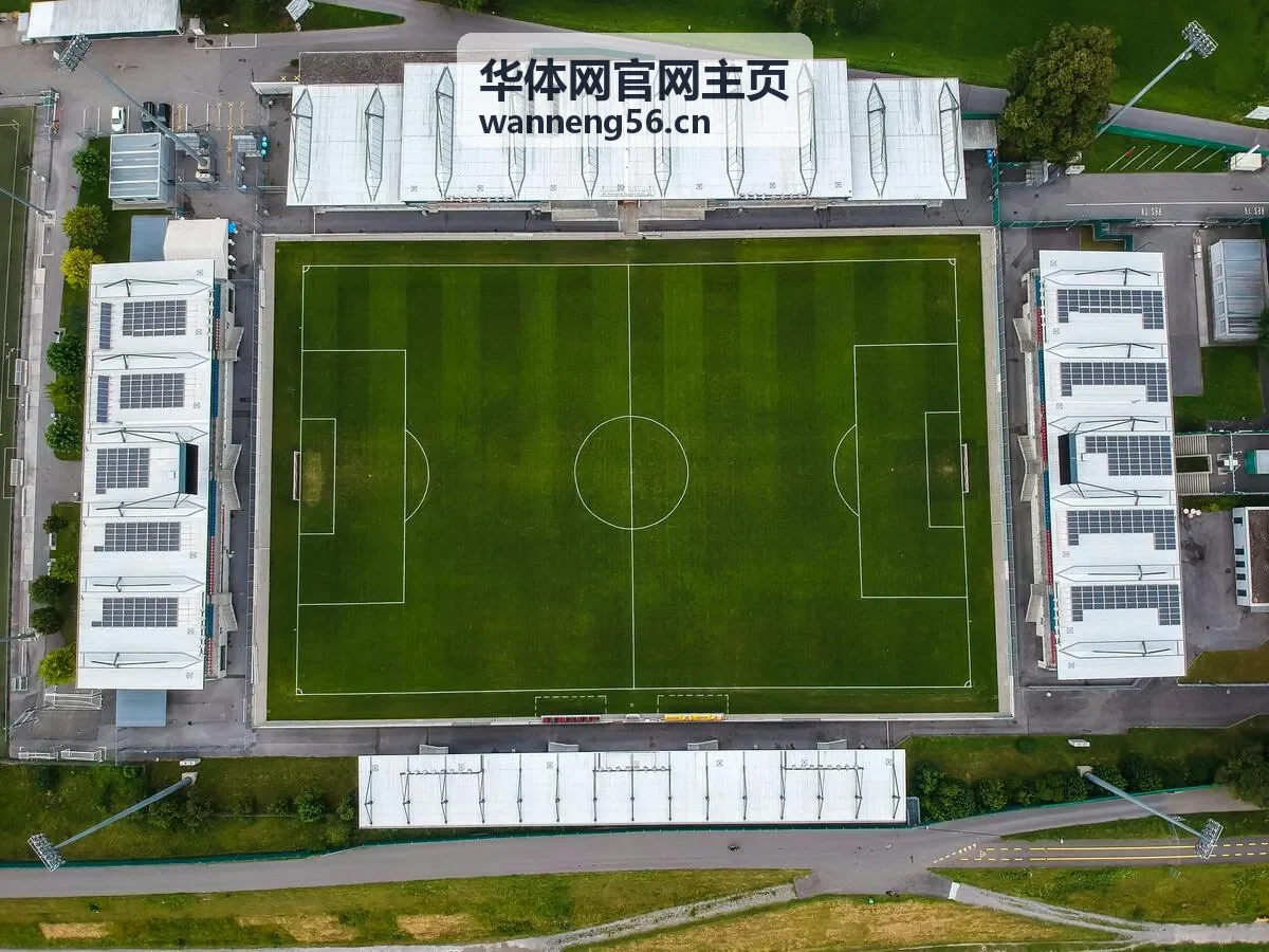 华体网官网主页数据分析封面